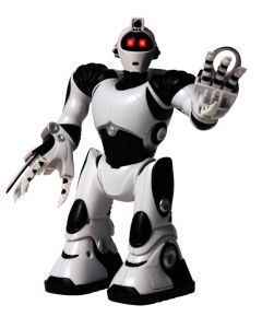 Mini Robosapien